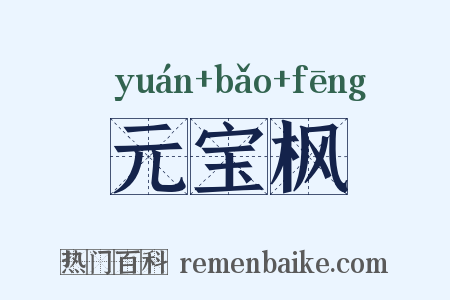 元宝枫是什么意思的图片